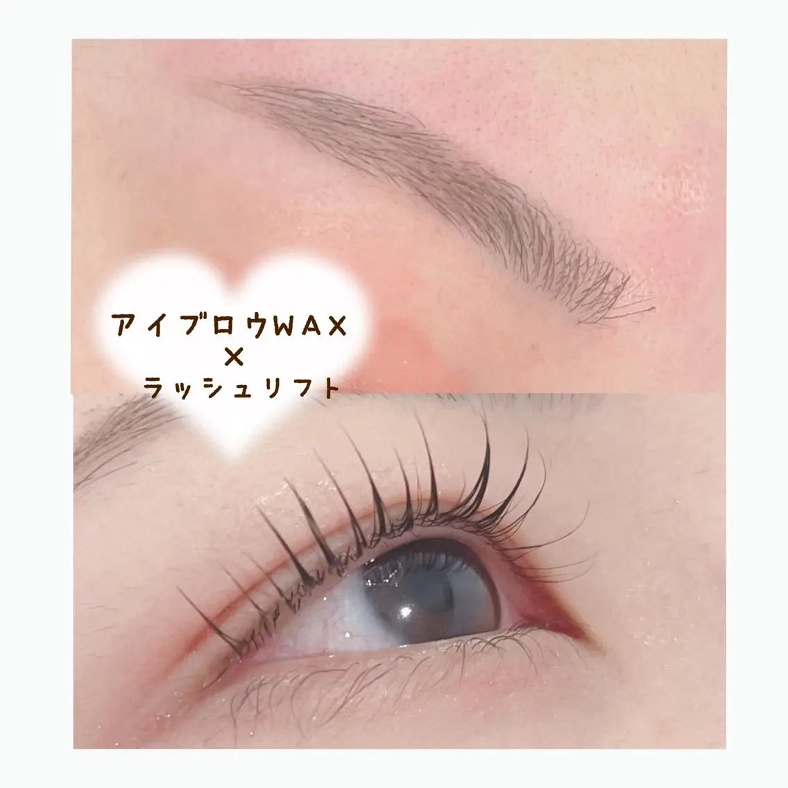 アイブロウWAX×ラッシュリフト  setメニュー🍪🧸の写真