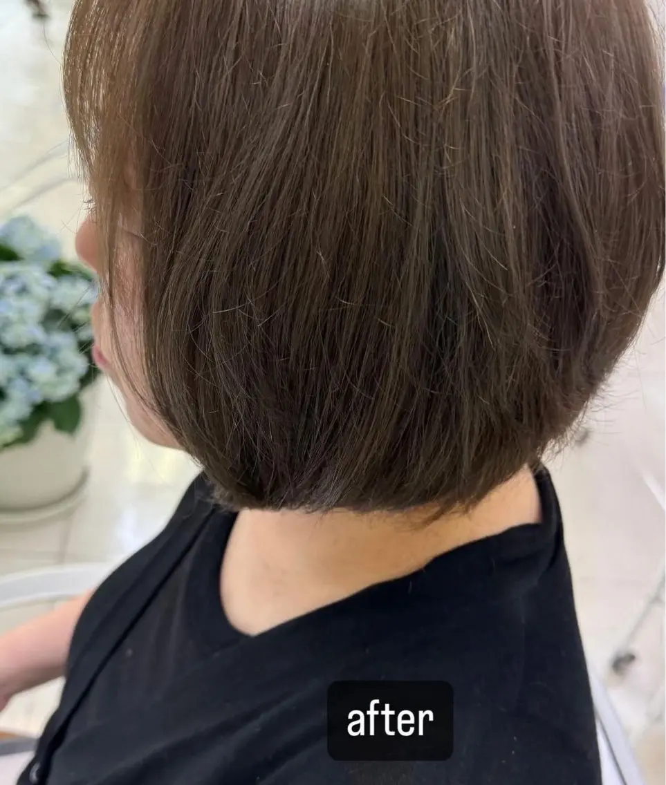 カット、ヘアセットの写真