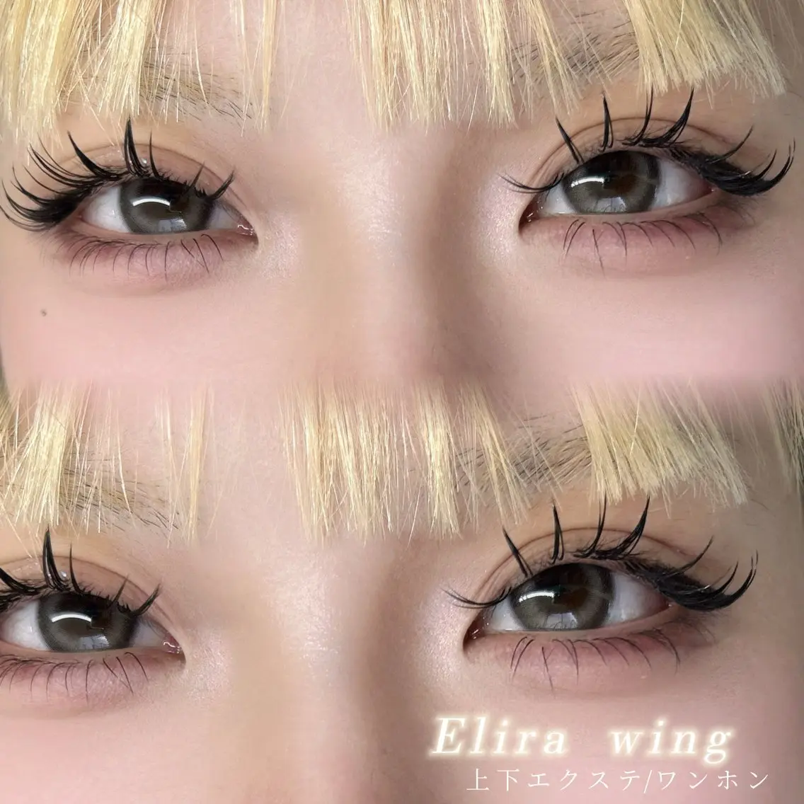マツエク・マツパ Elira wingのマツエク・マツパデザイン