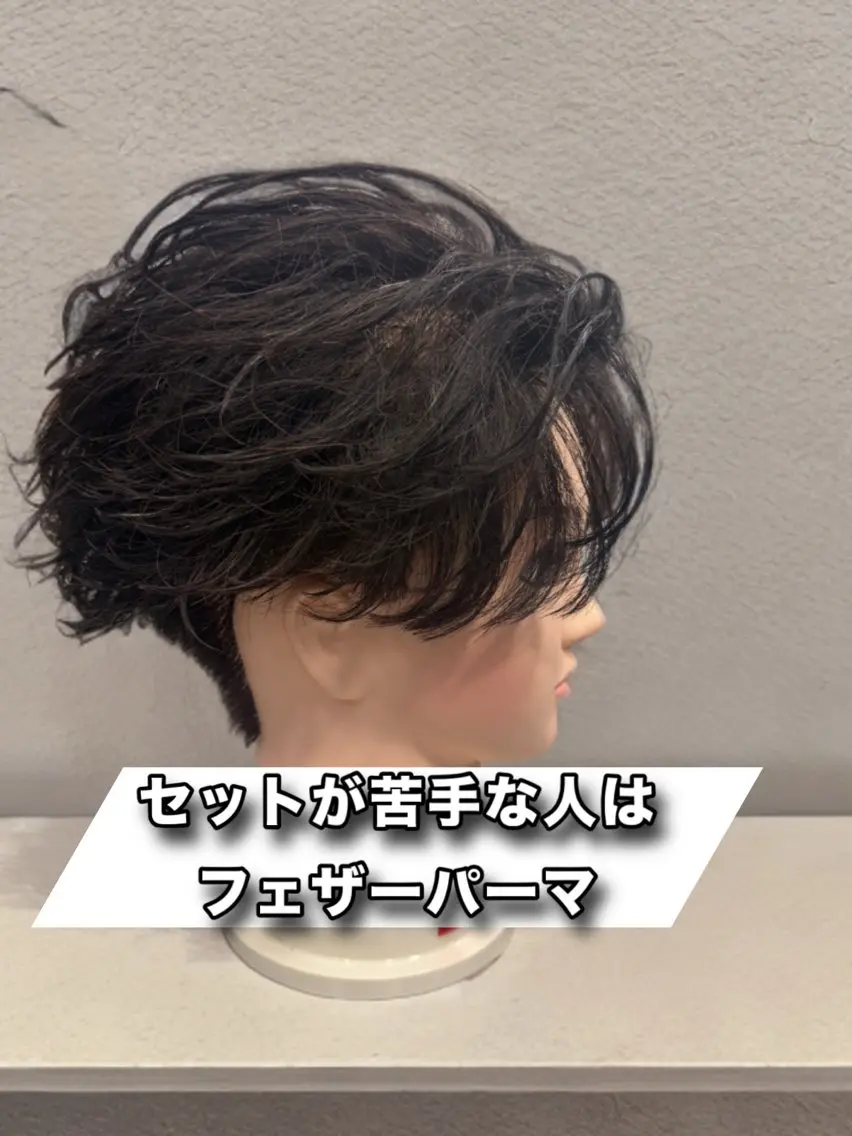 メンズ フェザーパーマ メンズパーマ 本田 有里のヘアスタイル