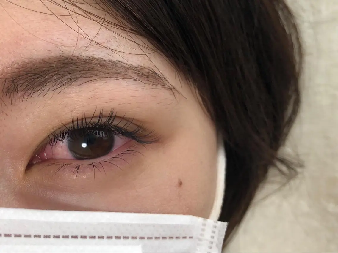 下まつげ片目10本両目20本の写真