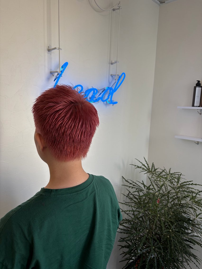 ショート ショートヘア ヘアカラー 山本 雷のヘアスタイル