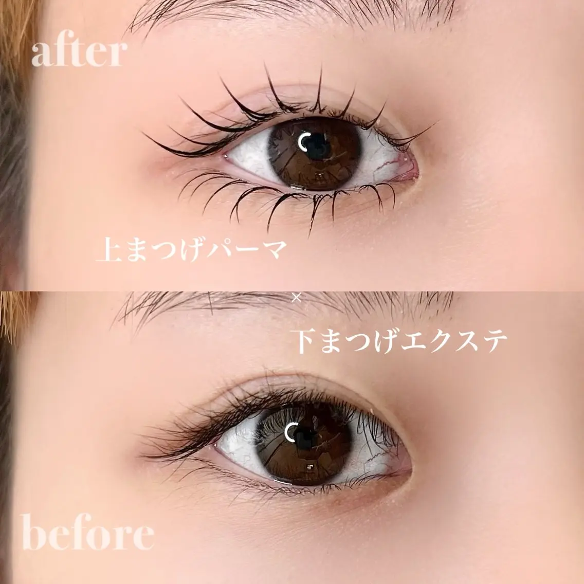 マツエク・マツパ マツパ elua eyelashの眉毛・アイブロウイメージ