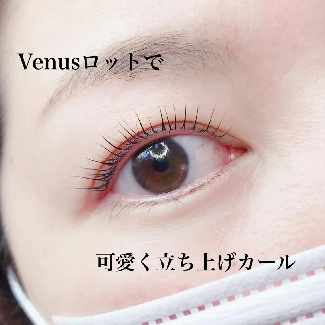マツエク・マツパ eyelash catwinkのマツエク・マツパデザイン