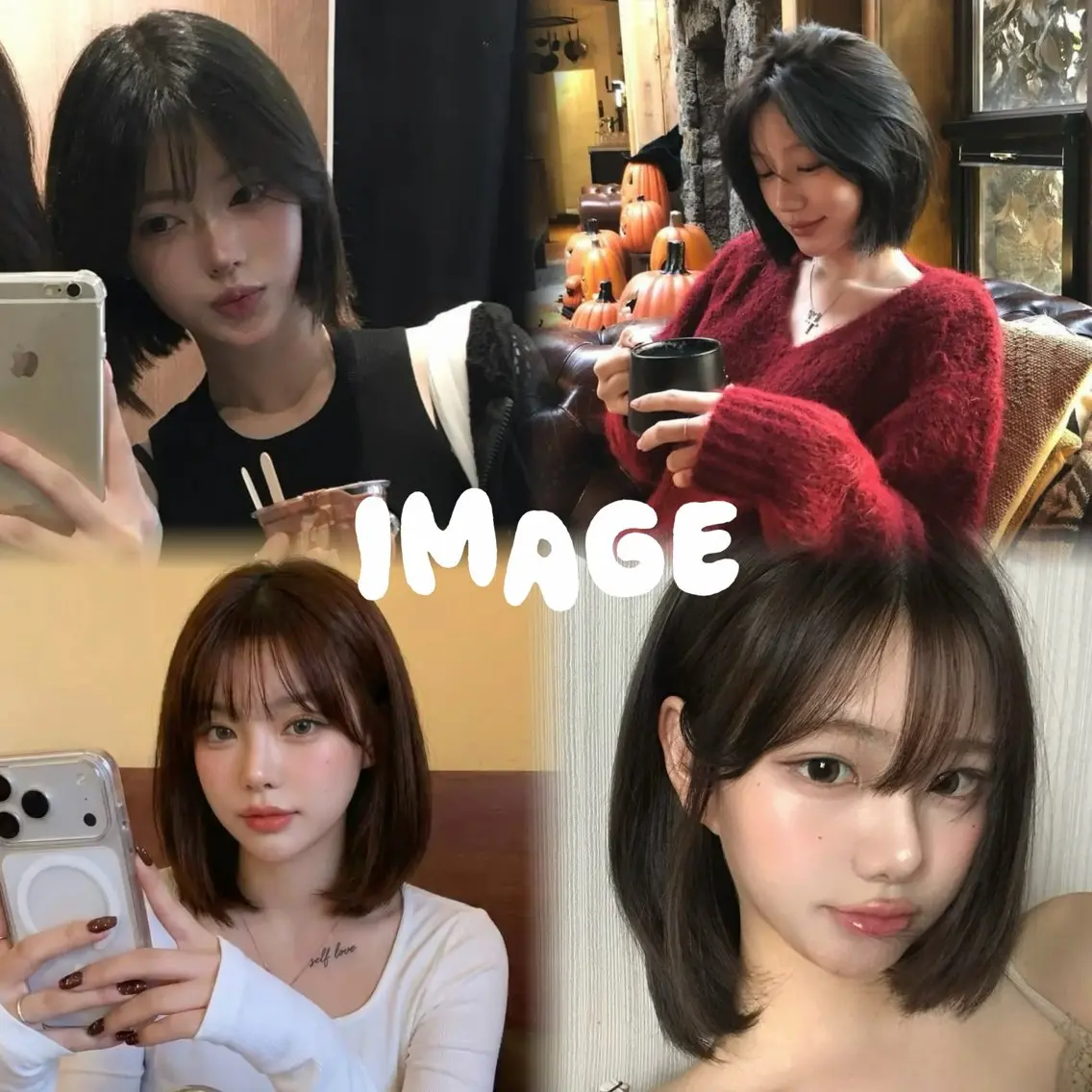 ✂️ボブカットモデルの写真