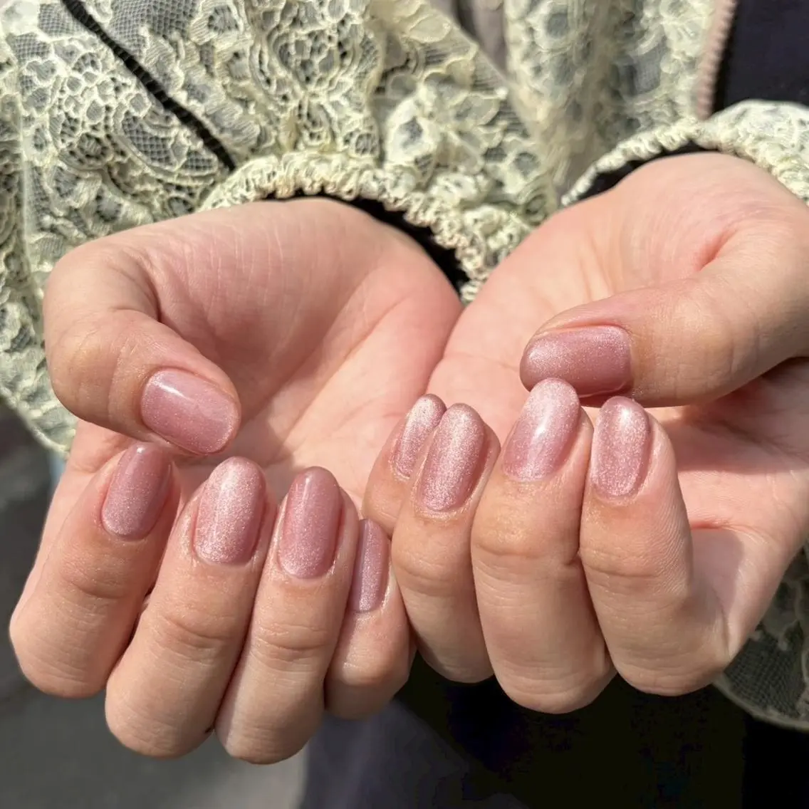 ワンカラーorマグネット/オフありの写真