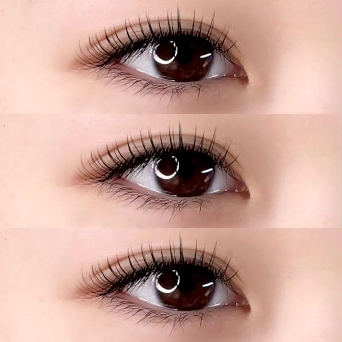 マツエク・マツパ Dカール フラットラッシュ lashes Francのマツエク・マツパデザイン