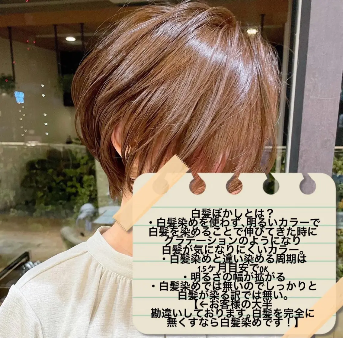 ショート カラー カット ヘアカラー トリートメント 【6月限定価格】 ショート特化/荒砂のヘアスタイル