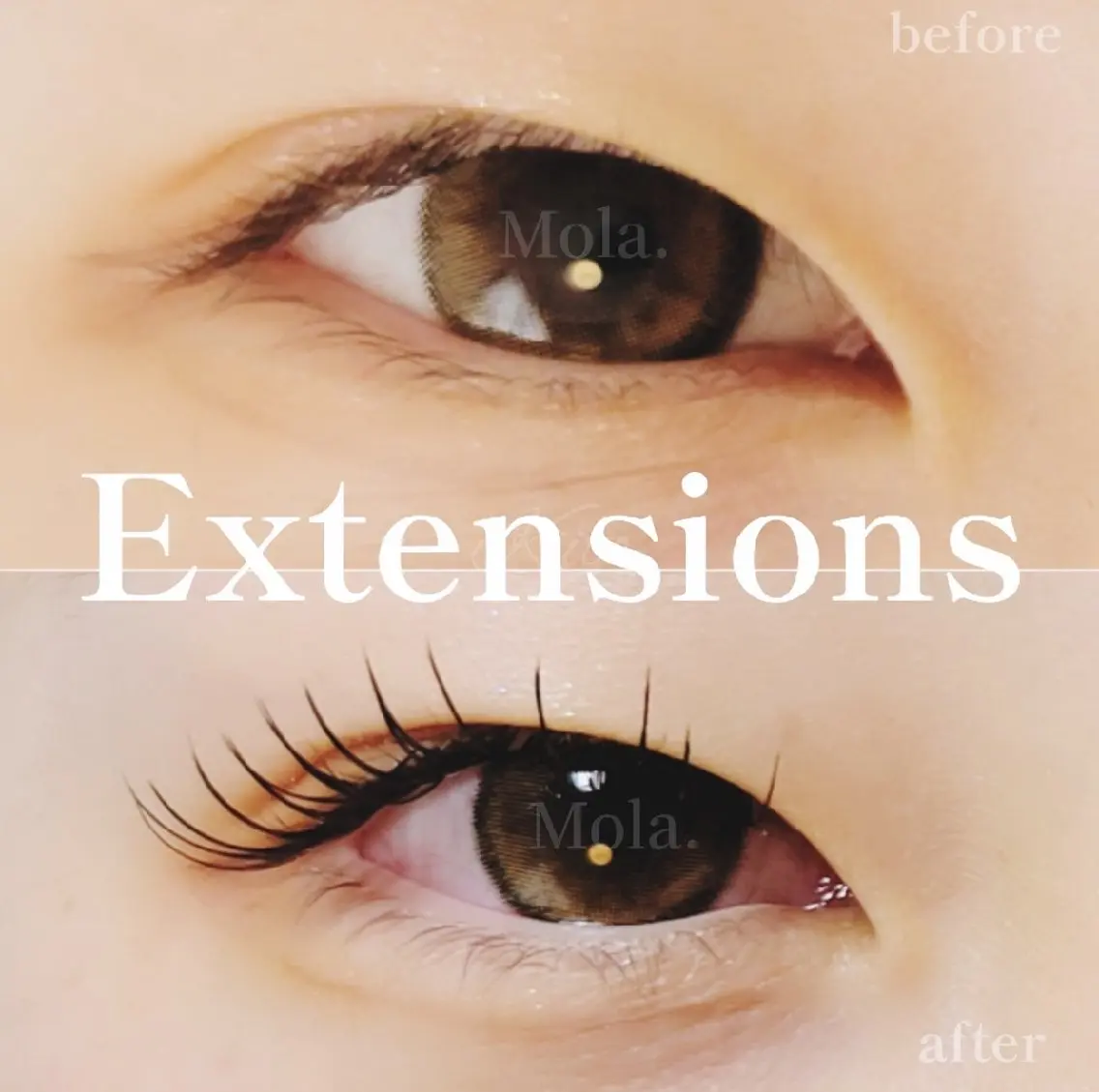 マツエク・マツパ 【Mola.】 eyelashのマツエク・マツパデザイン