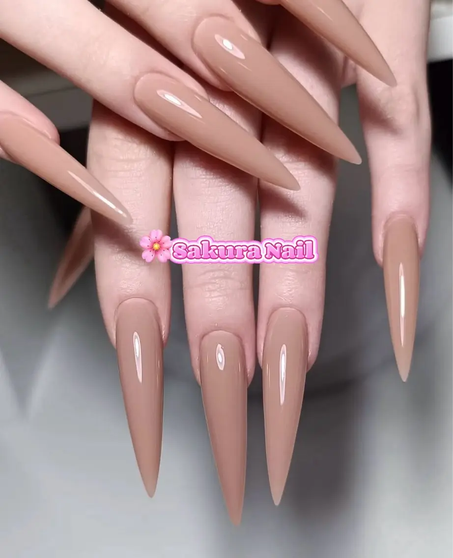 ネイル アートネイル オーロラネイル ボルドー チークネイル フレンチネイル ハンドネイル Sakura Nail Salonのネイルデザイン