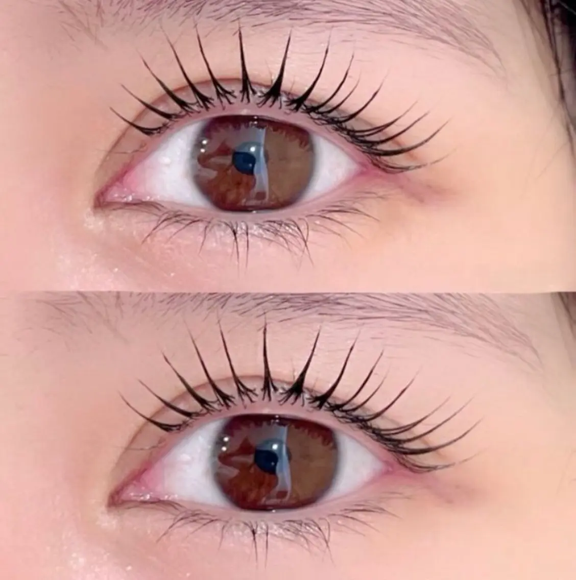 6/1(月)~6/5(金)🦋デザインラッシュリフト🦋【日付限定クーポン】【パリジェンヌも可🙆♀️】の写真
