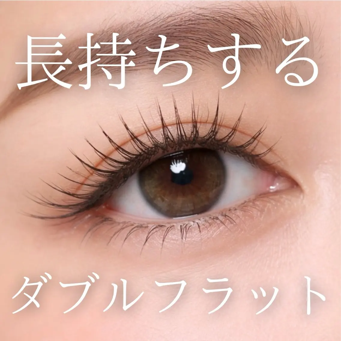 ダブルフラット40束(フラットラッシュ80本)の写真
