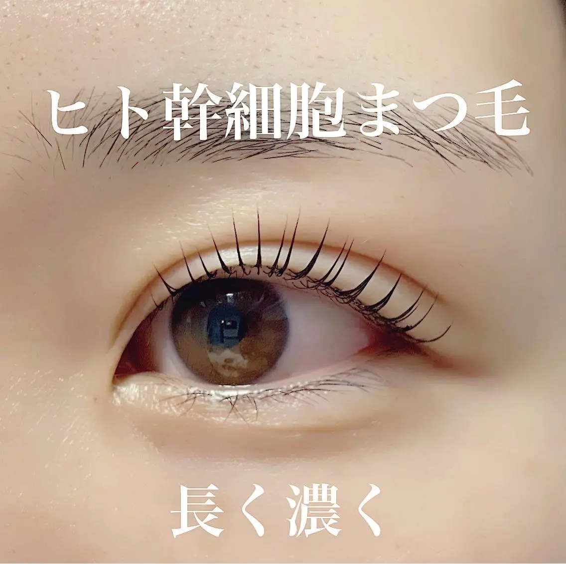 【美容液不要!!】ヒト幹細胞まつ毛パーマの写真