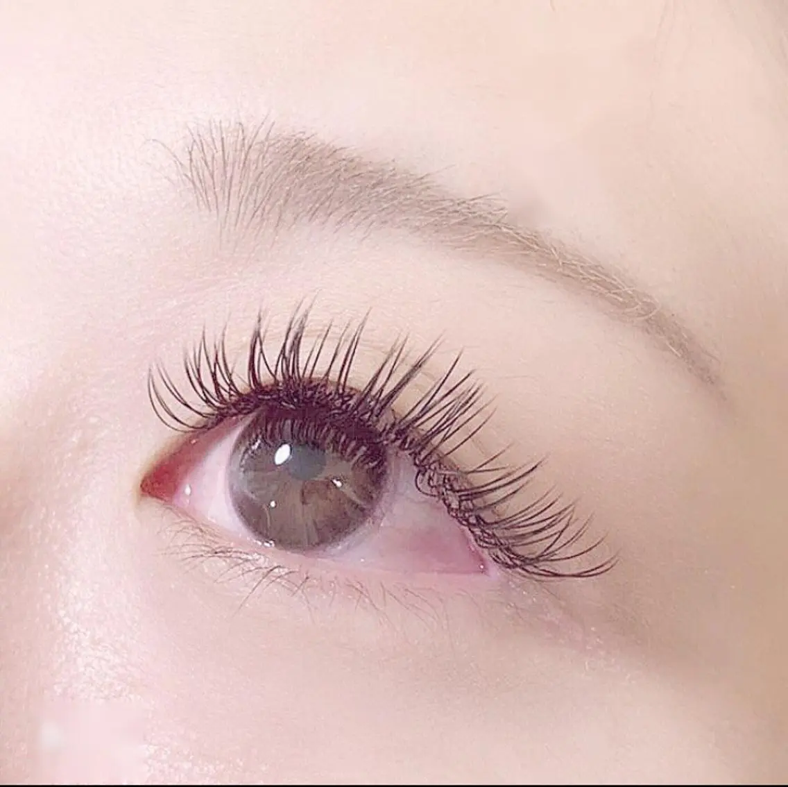 LEDシングル    👀まつげエクステ👀 フラットラッシュ80本    オフ代➕550円の写真