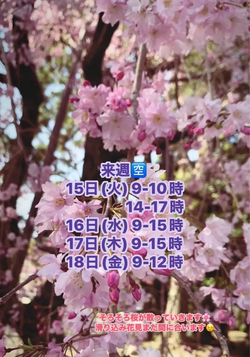 清水 由希のエステ・リラクイメージ