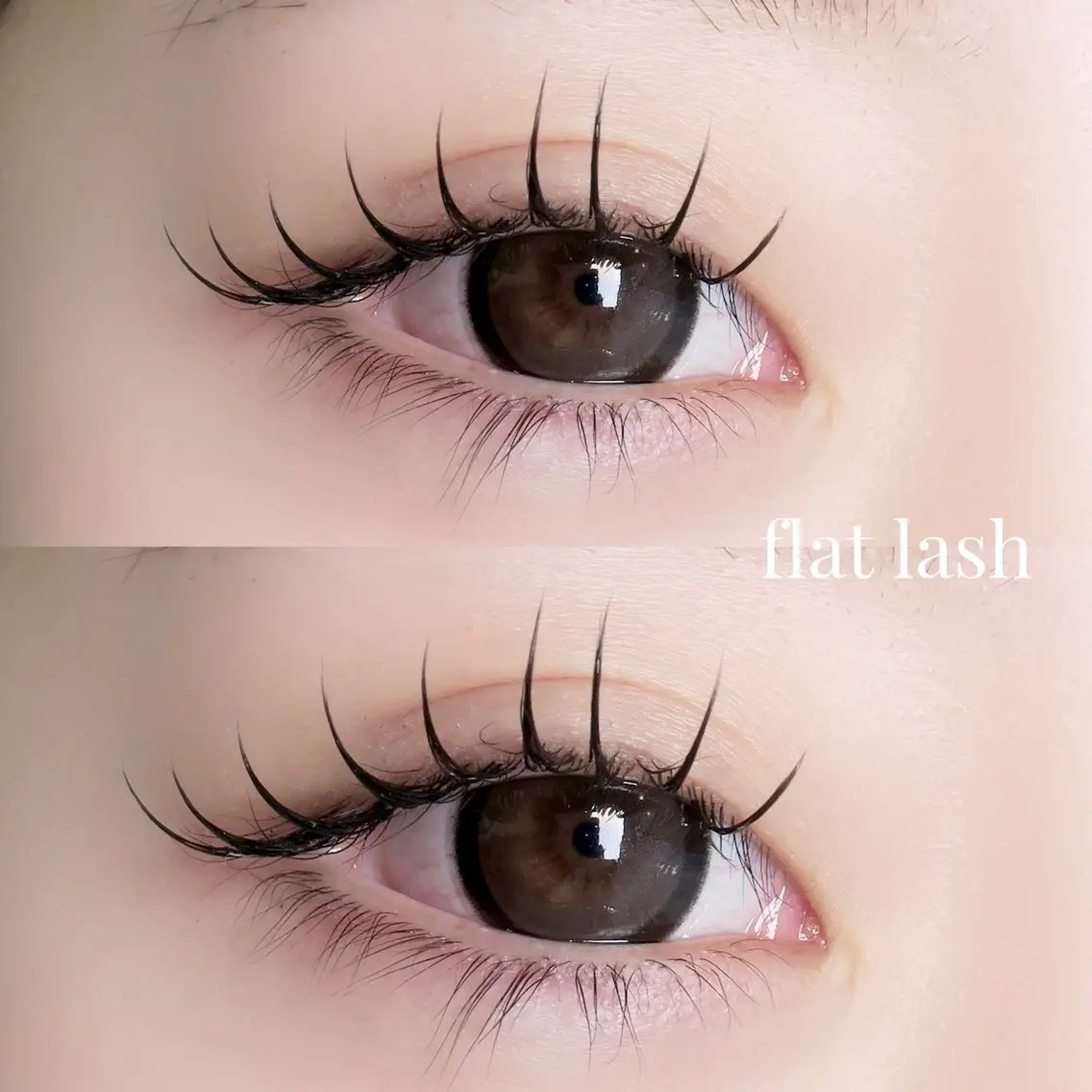 マツエク 120本まで+美眉ワックス🧡ご新規様限定!特別価格🧡の写真