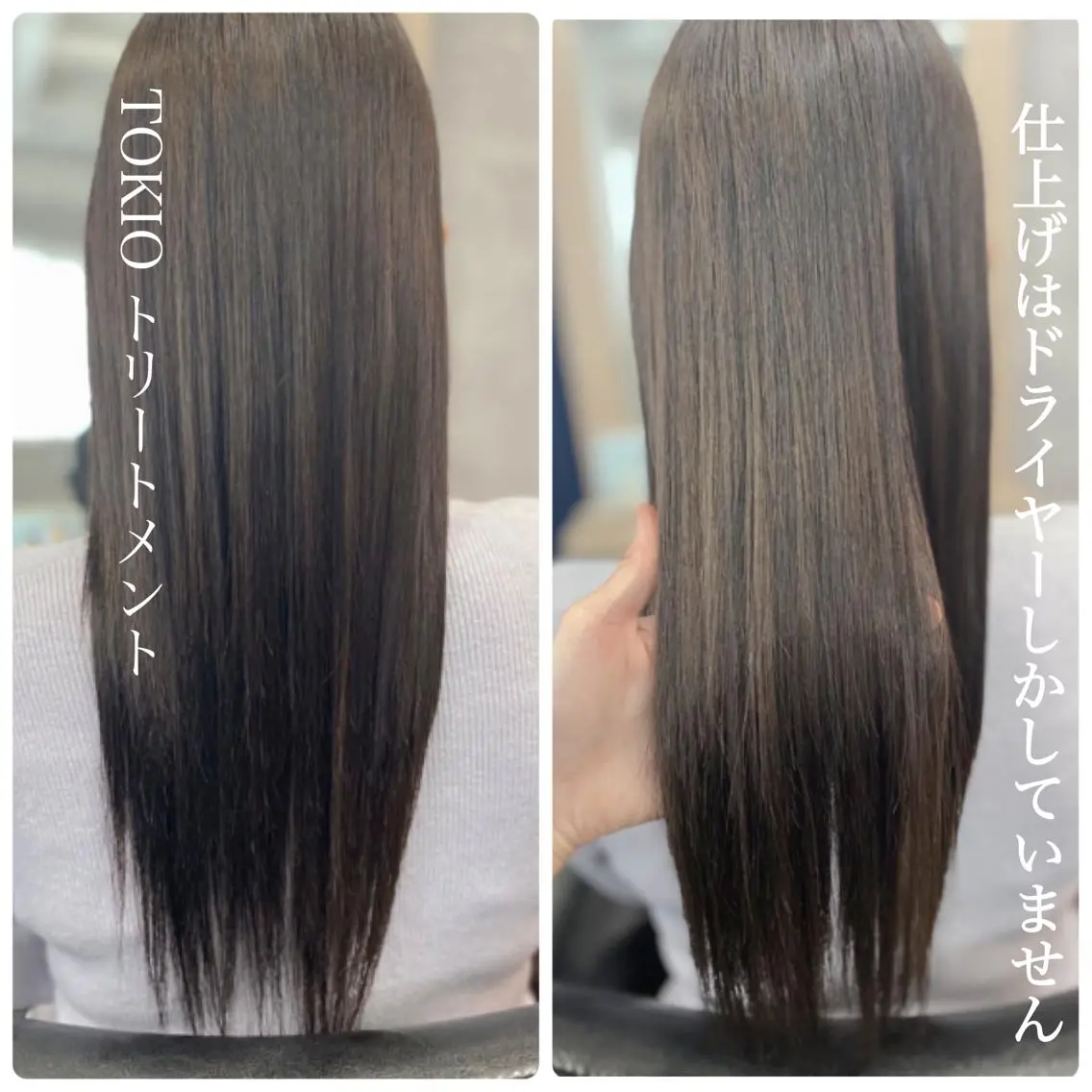 ロング トリートメント ＳＨＩ ＺＵのヘアスタイル