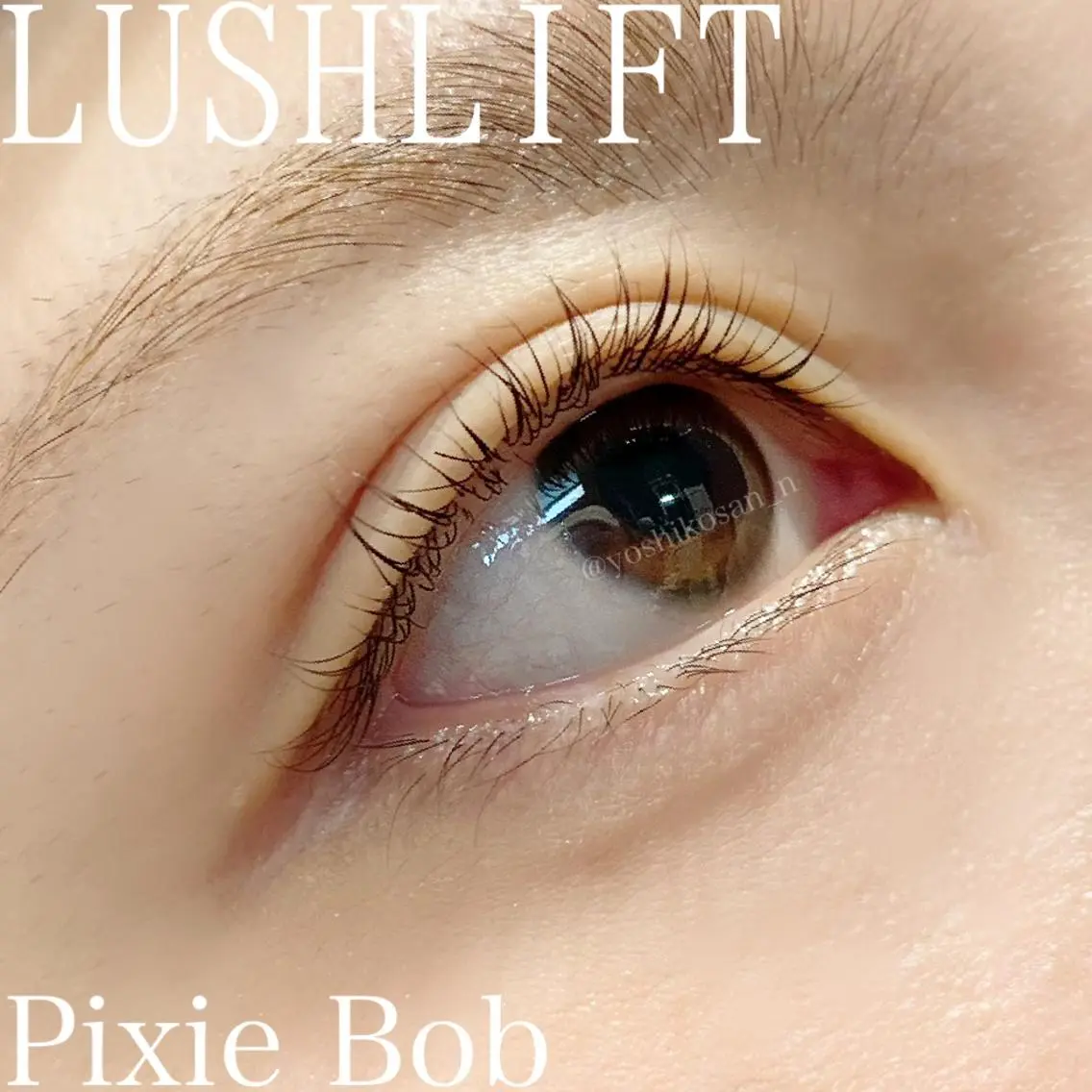 マツエク・マツパ Pixie Bob 🐈‍⬛　位田のマツエク・マツパデザイン