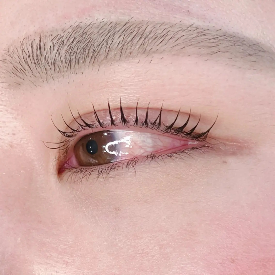 マツエク・マツパ eyelash salon懐のマツエク・マツパデザイン