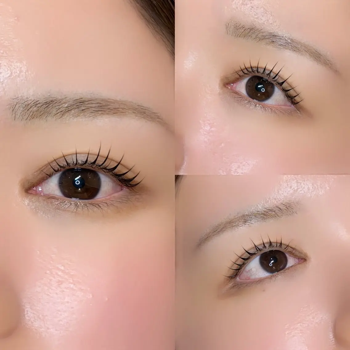 【垢抜けsetメニュー】ラッシュリフト+アイブロウWAXの写真