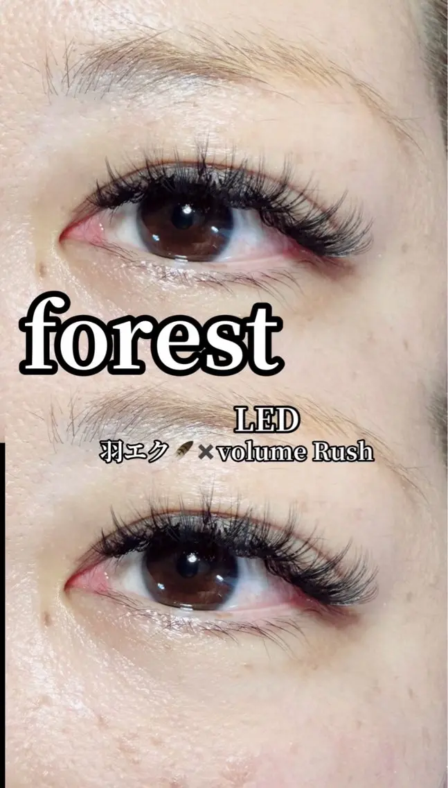 マツエク・マツパ 付け放題 ボリュームラッシュ マツエクサロン forestのマツエク・マツパデザイン