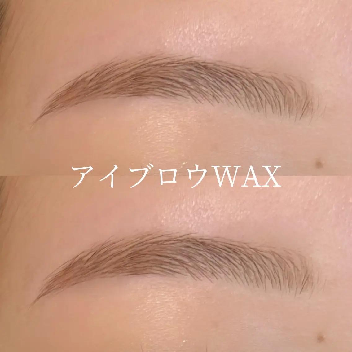 アイブロウ VIAS CANACOの眉毛・アイブロウイメージ