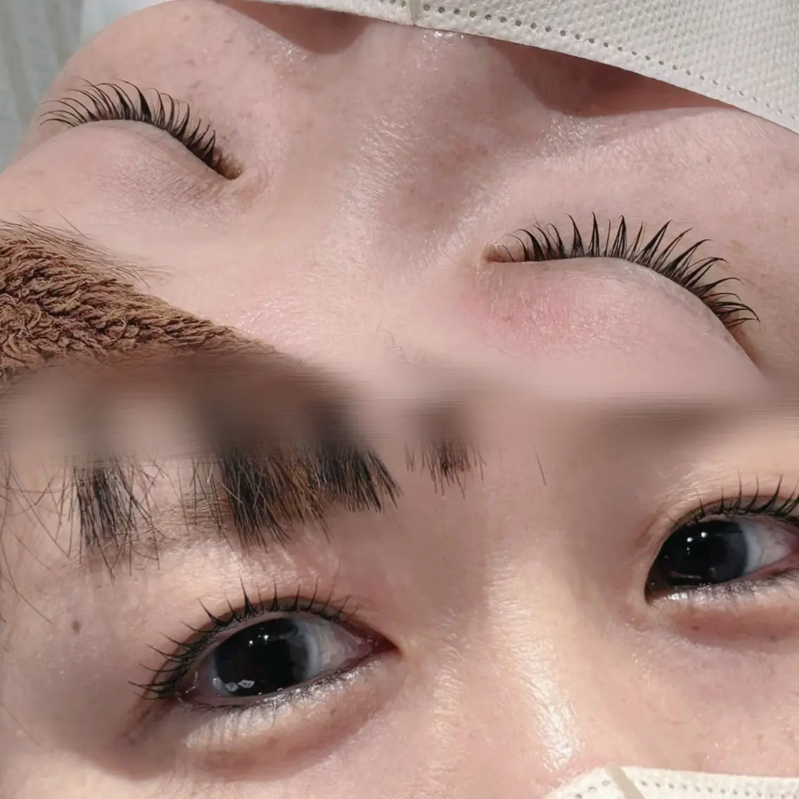 まつ毛パーマ🤍꙳☄︎コーティング剤+泡シャンプー付き🧴の写真