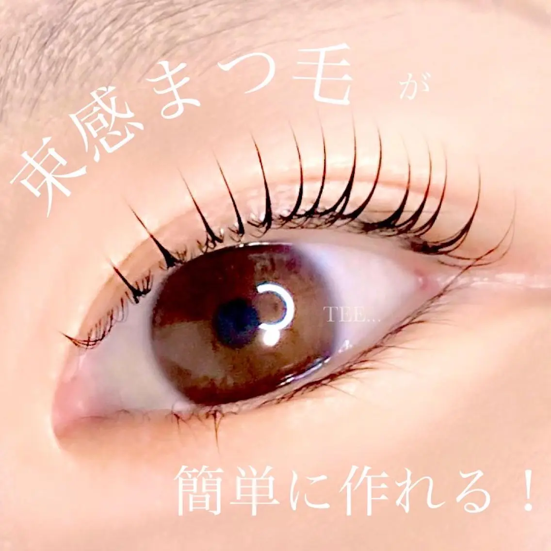 マツエク・マツパ 似合わせ診断🌈 アイリスト/ソノキのマツエク・マツパデザイン