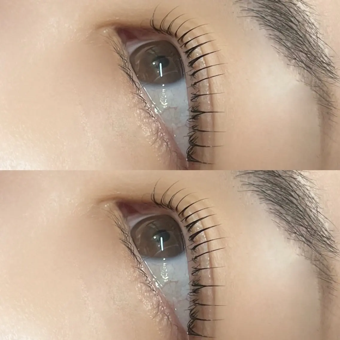 まつげパーマ(ラッシュリフト)👀✨コーティング付きの写真