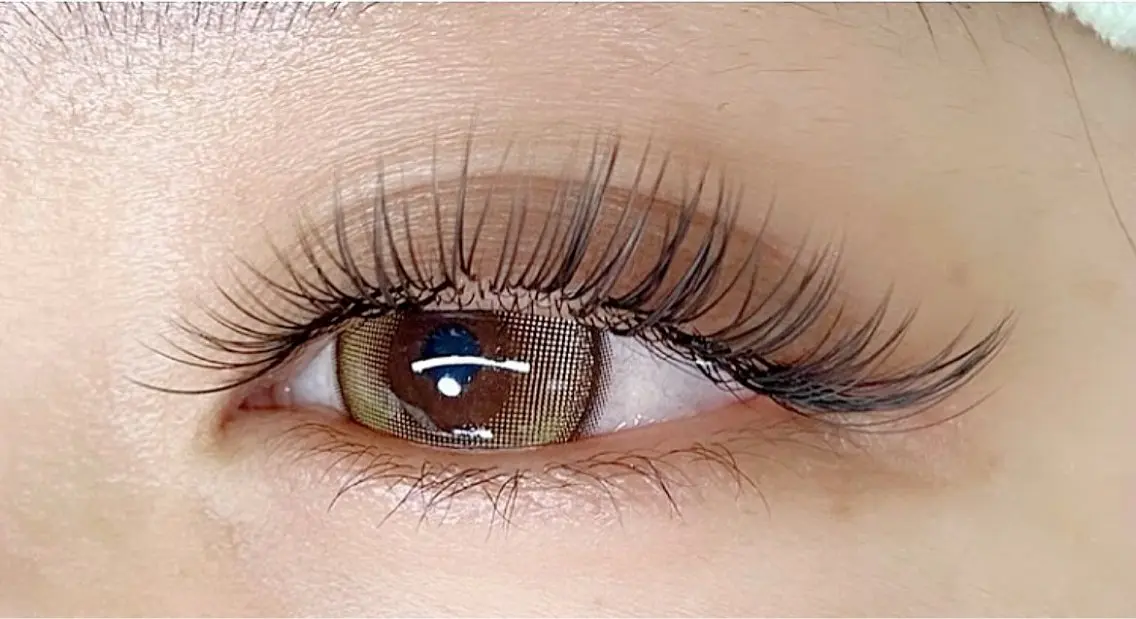 フラットラッシュ60本の写真