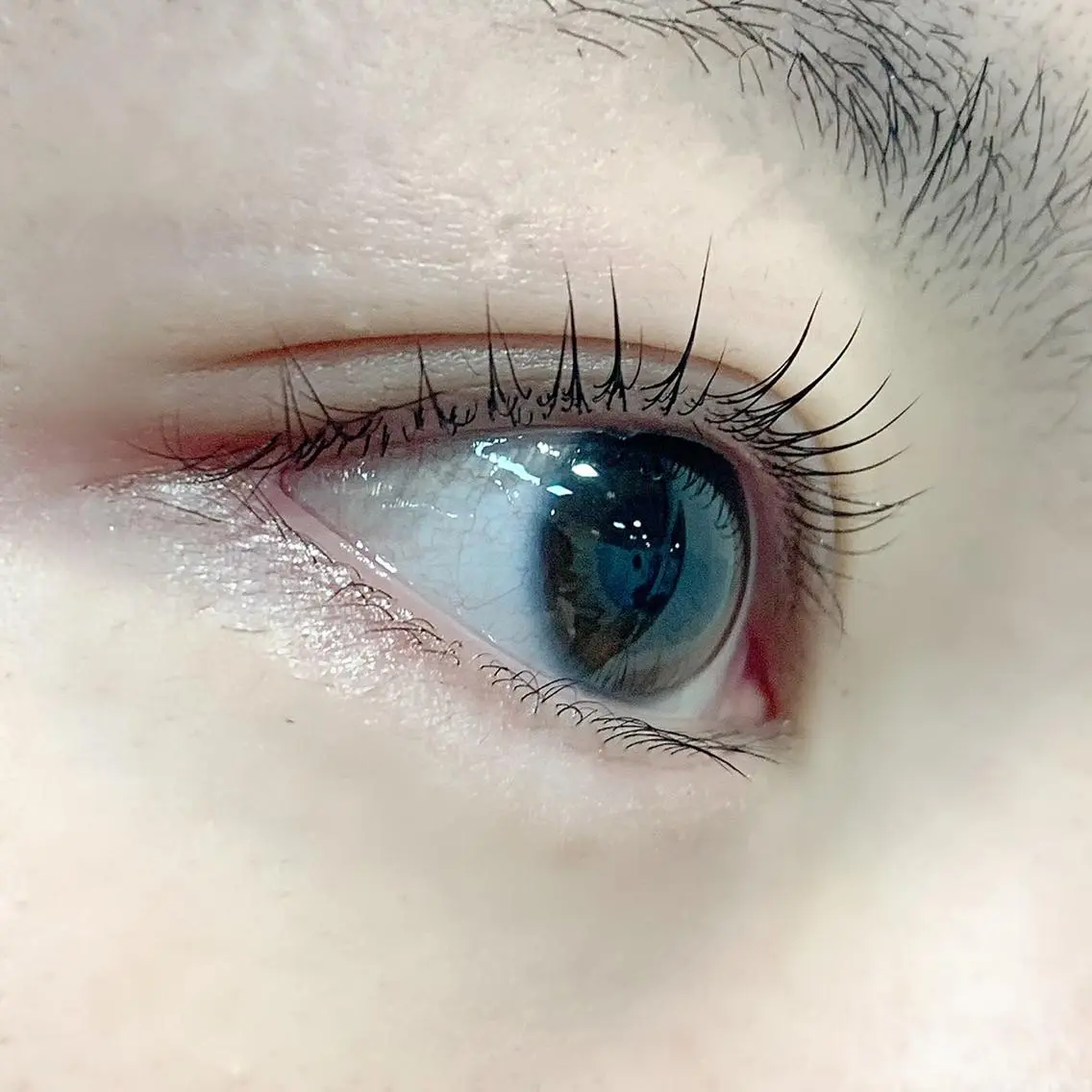 ✨ラッシュリフト✨ 根元を立ち上げるまつ毛パーマです✨の写真