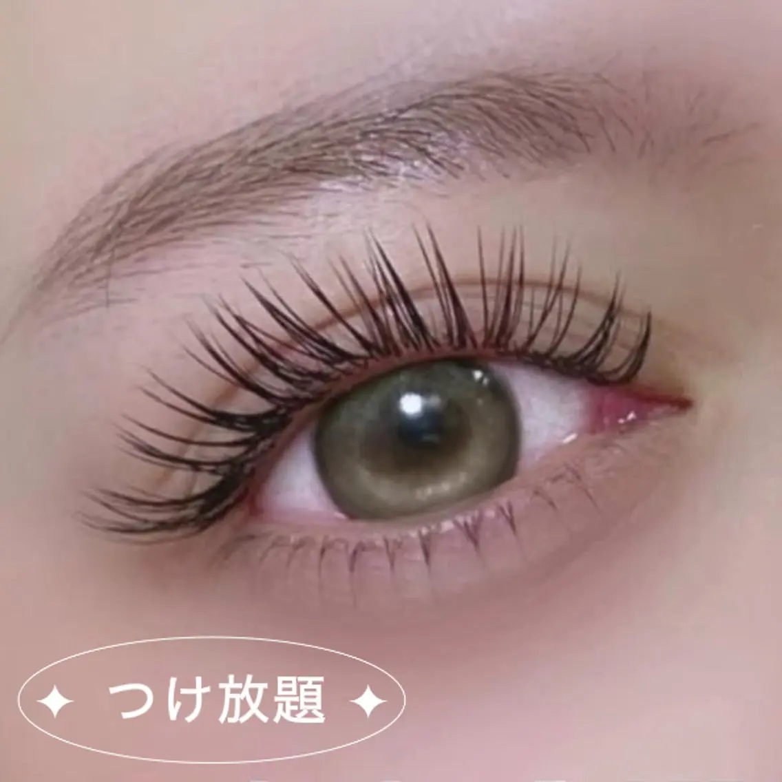 フラットラッシュ|付け放題の写真