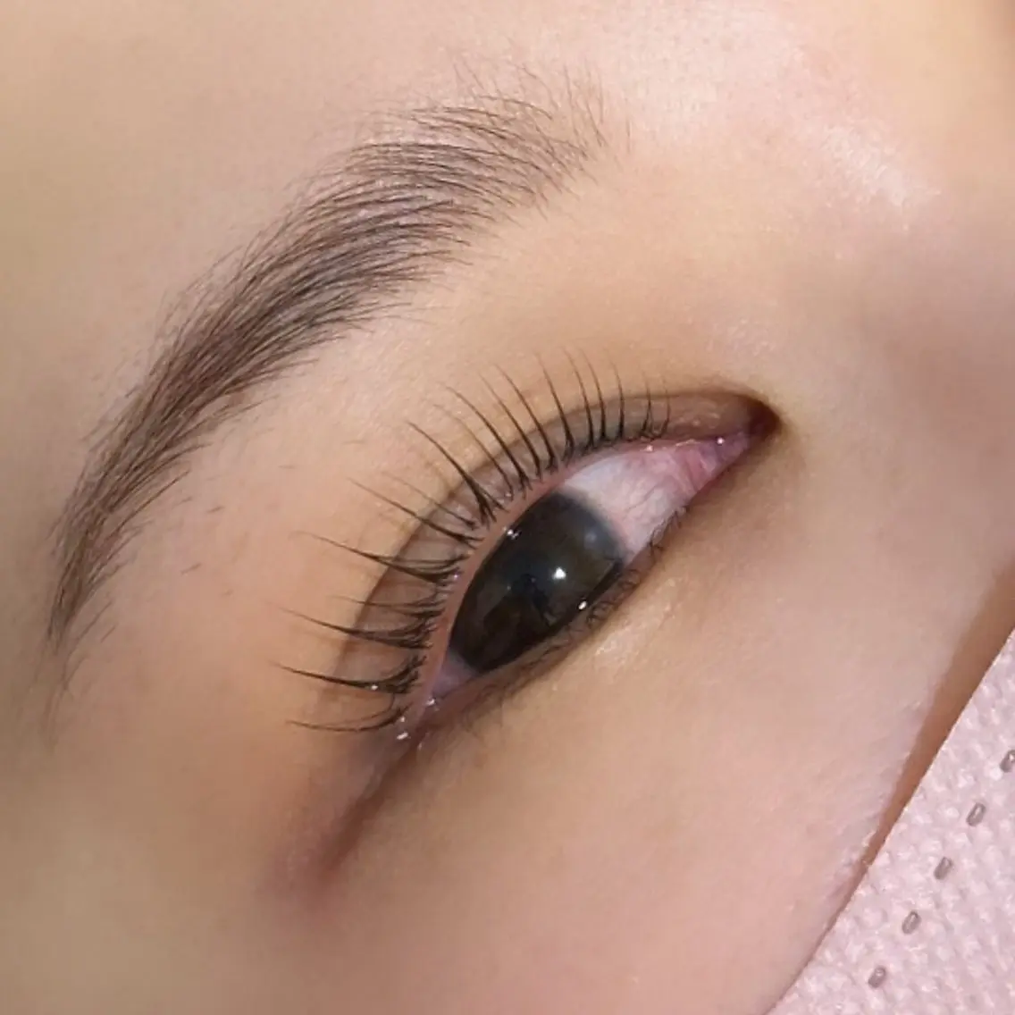 マツエク・マツパ マツパ Cuccha Becchaの眉毛・アイブロウイメージ