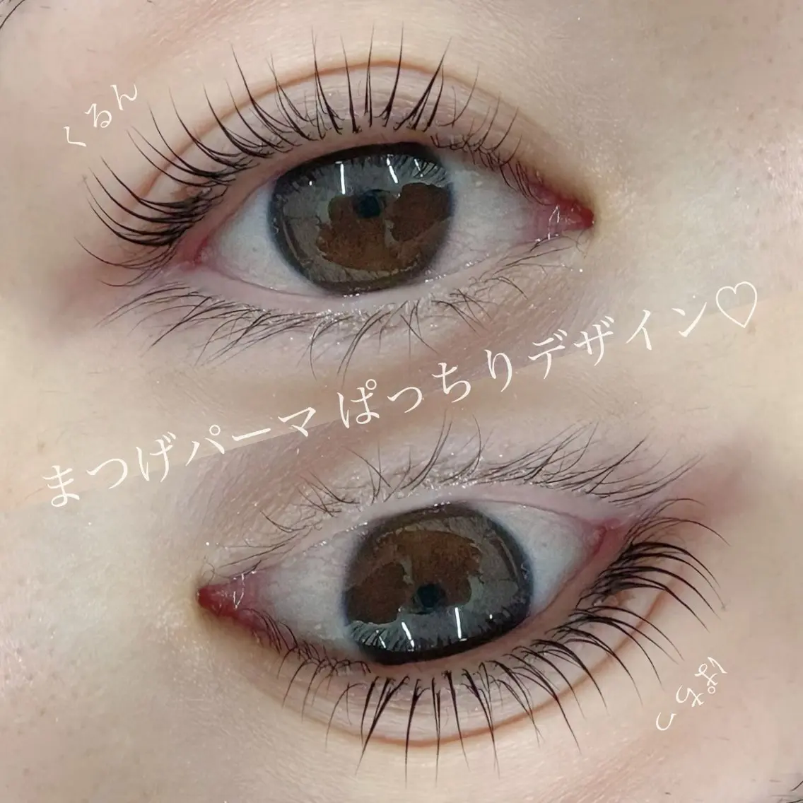 (上)まつげパーマ無料モデル✨(1時間刻みでのご予約お願いいたします)の写真