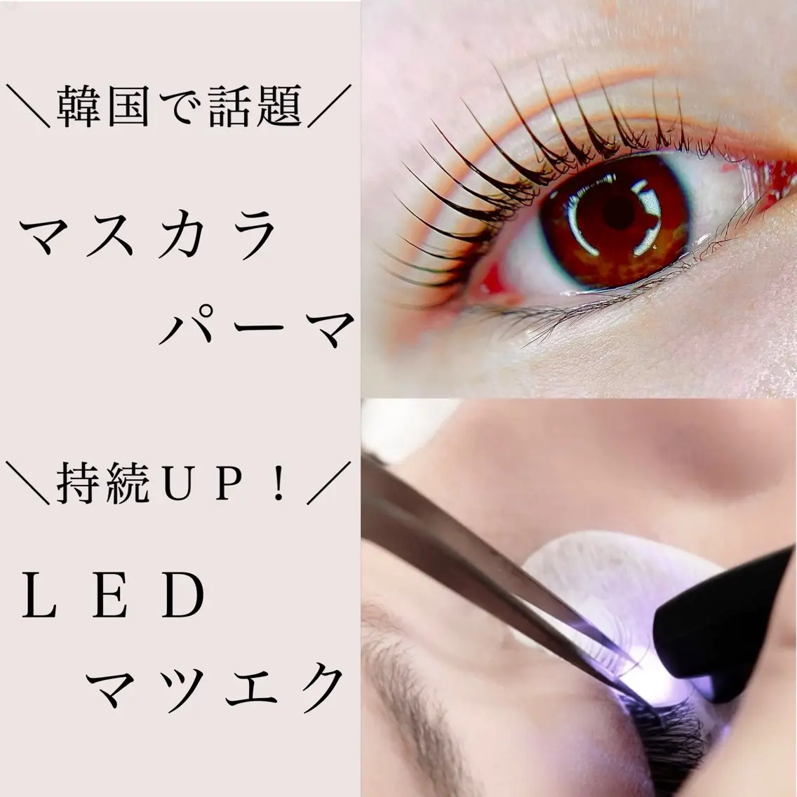 ジャスミン Jasmineのマツエク・マツパデザイン