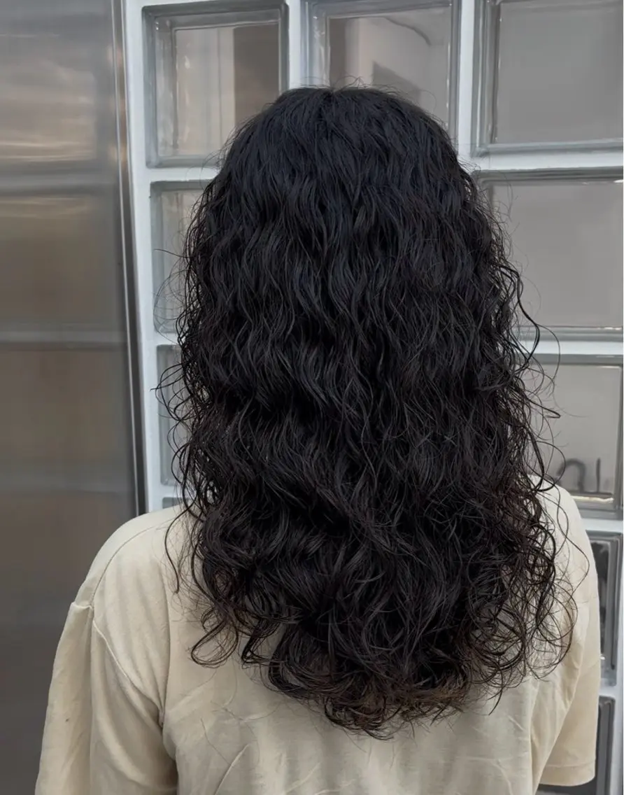 夏限定‼️カット+外国人風カーリーパーマ+3step treatmentの写真