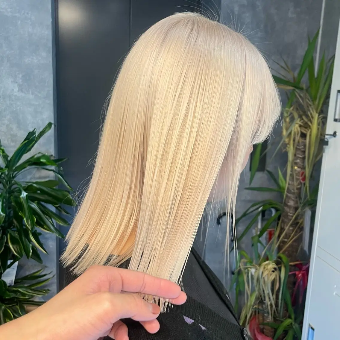 セミロング カラー ブロンド ホワイトブロンド トリートメント 似合わせカラー✞✟ ayumi🐈‍⬛のヘアスタイル