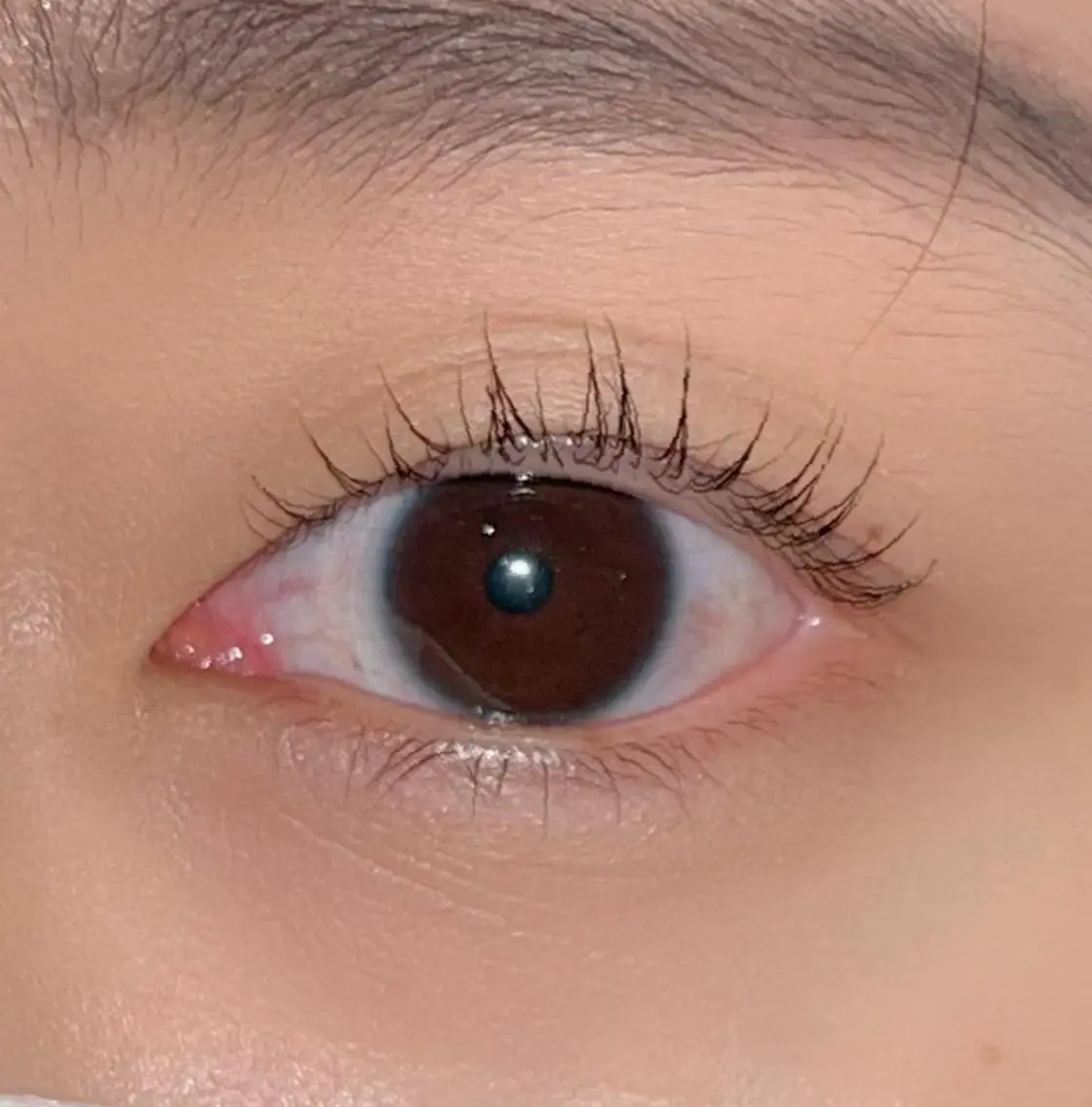 マツエク・マツパ パリジェンヌラッシュリフト まつげパーマ ai一重専門🎀束感 まつげ🫧表参道の眉毛・アイブロウイメージ