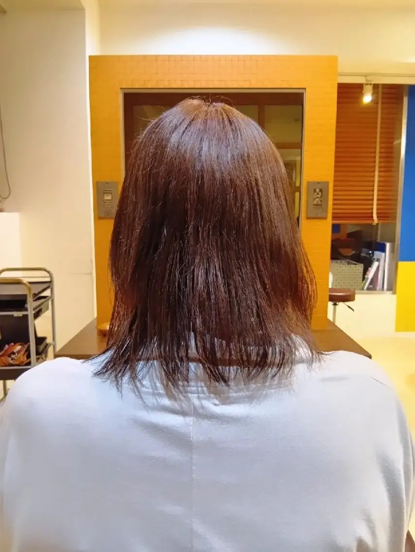 カラー ミディアム ハイライトカラー くせ毛 ハイライト カット ヘアカラー トリートメント 小林暢🌟Orque 髪質改善サロン🌙のヘアスタイル