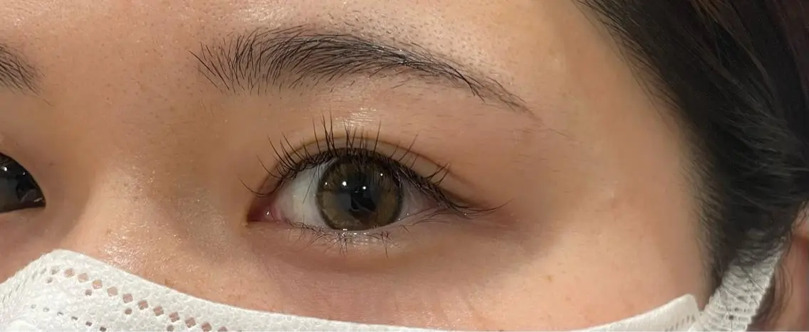 マツエク・マツパ Cカール フラットラッシュ PLUME🕊 yuunaのマツエク・マツパデザイン