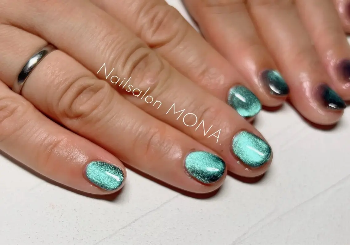 ネイル マグネットネイル マグネットワンカラー ワンカラーネイル Nailsalon MONA.のネイルデザイン