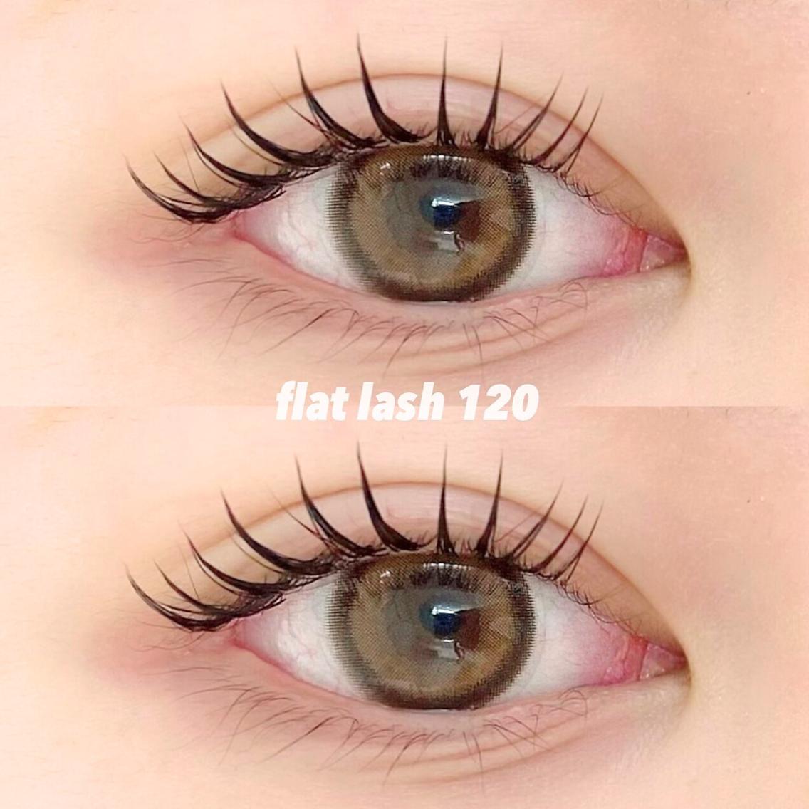 フラットラッシュ120本【オフ有】の写真