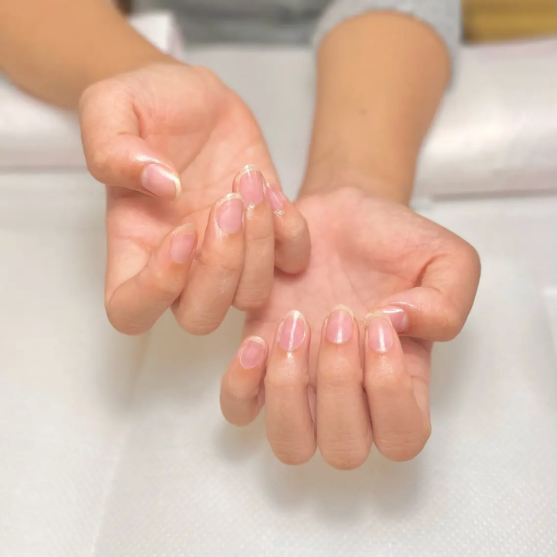 ネイル MAXKELLY正池 白フレンチ募集🕊️のネイルデザイン