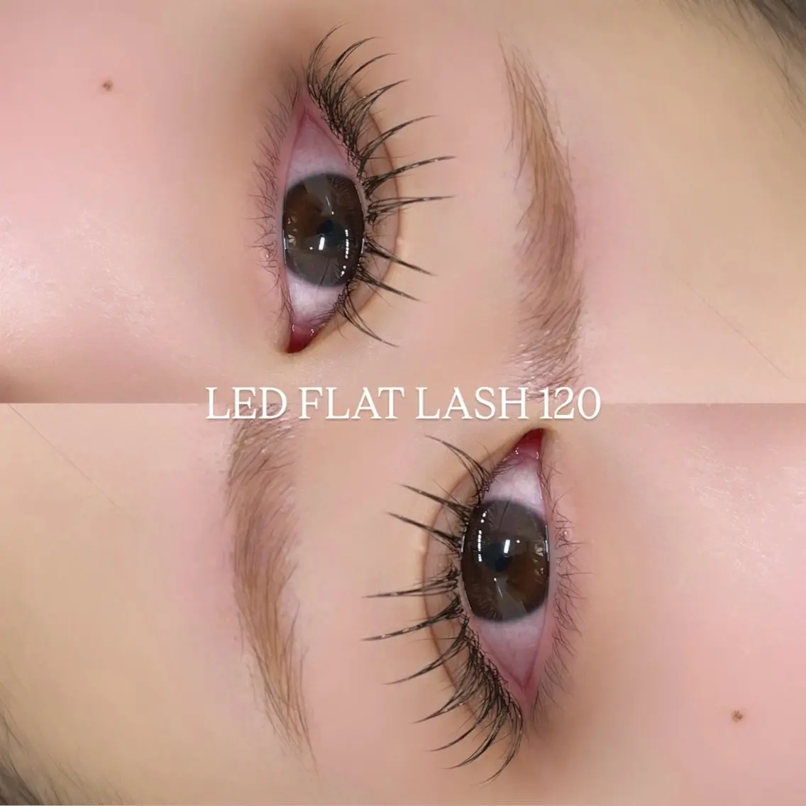 マツエク・マツパ マツエク Eden Eyelashのマツエク・マツパデザイン