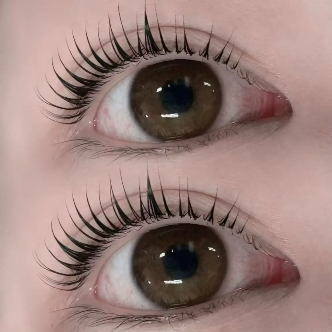 マツエク・マツパ Daisy Lash 今吉🍒🖤のマツエク・マツパデザイン