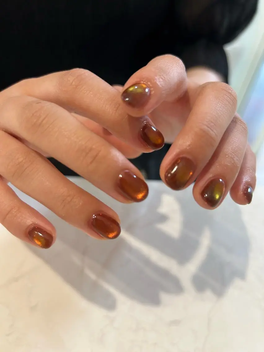 ネイル マグネットネイル Salondevi2 isanaのネイルデザイン