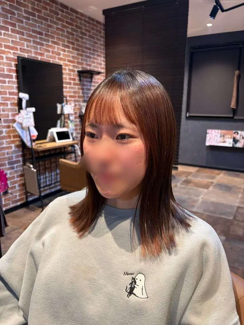 🎀メンテナンスカット🎀女性限定〔ボブ、ミディアムの方）の写真