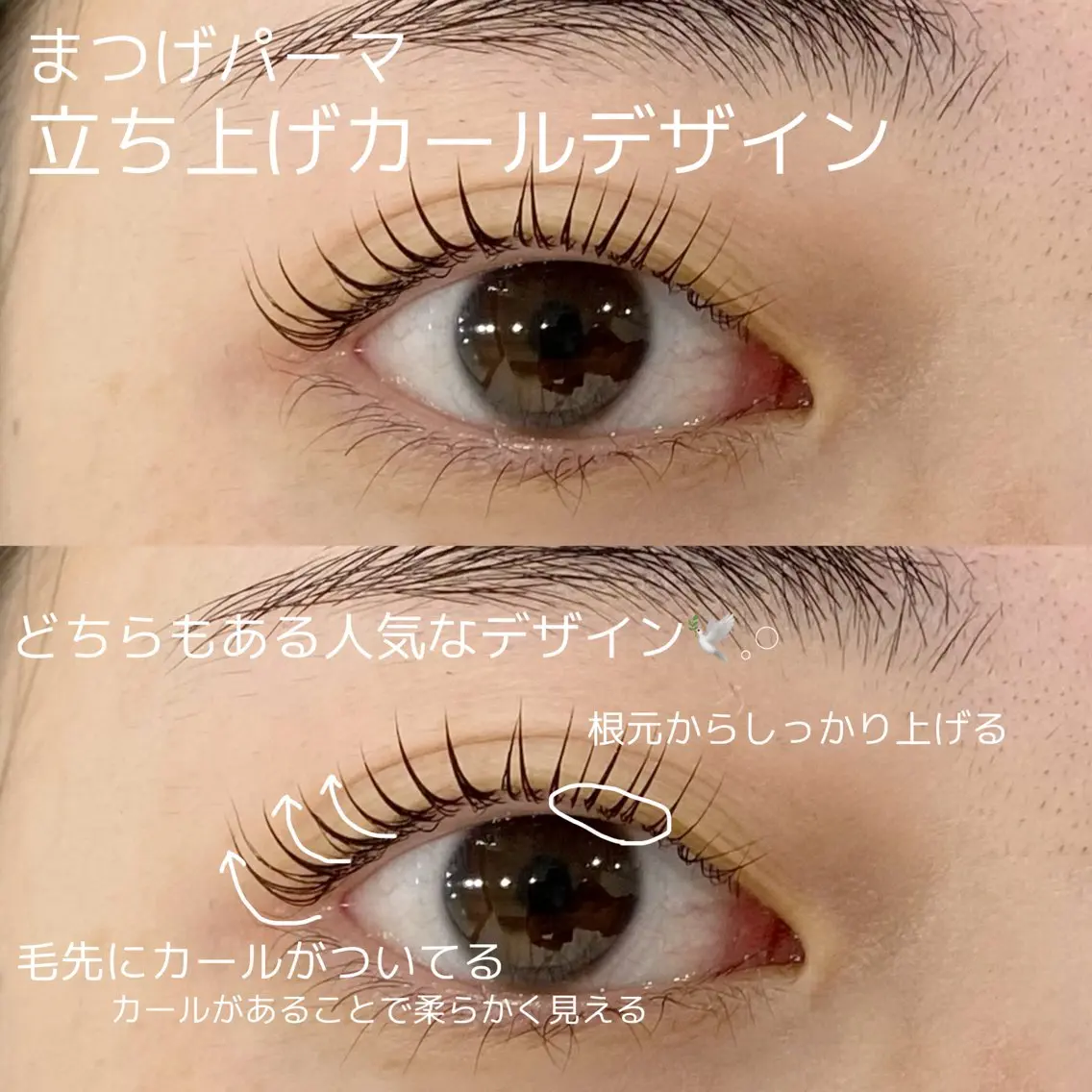 マツエク・マツパ まつげパーマ Haruki (はるき)のマツエク・マツパデザイン
