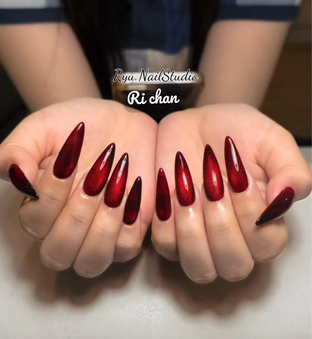 ネイル アートネイル ジェルネイル マグネットネイル ニュアンスネイル シンプルネイル ハンドネイル Ryu Nail NekoChanのネイルデザイン