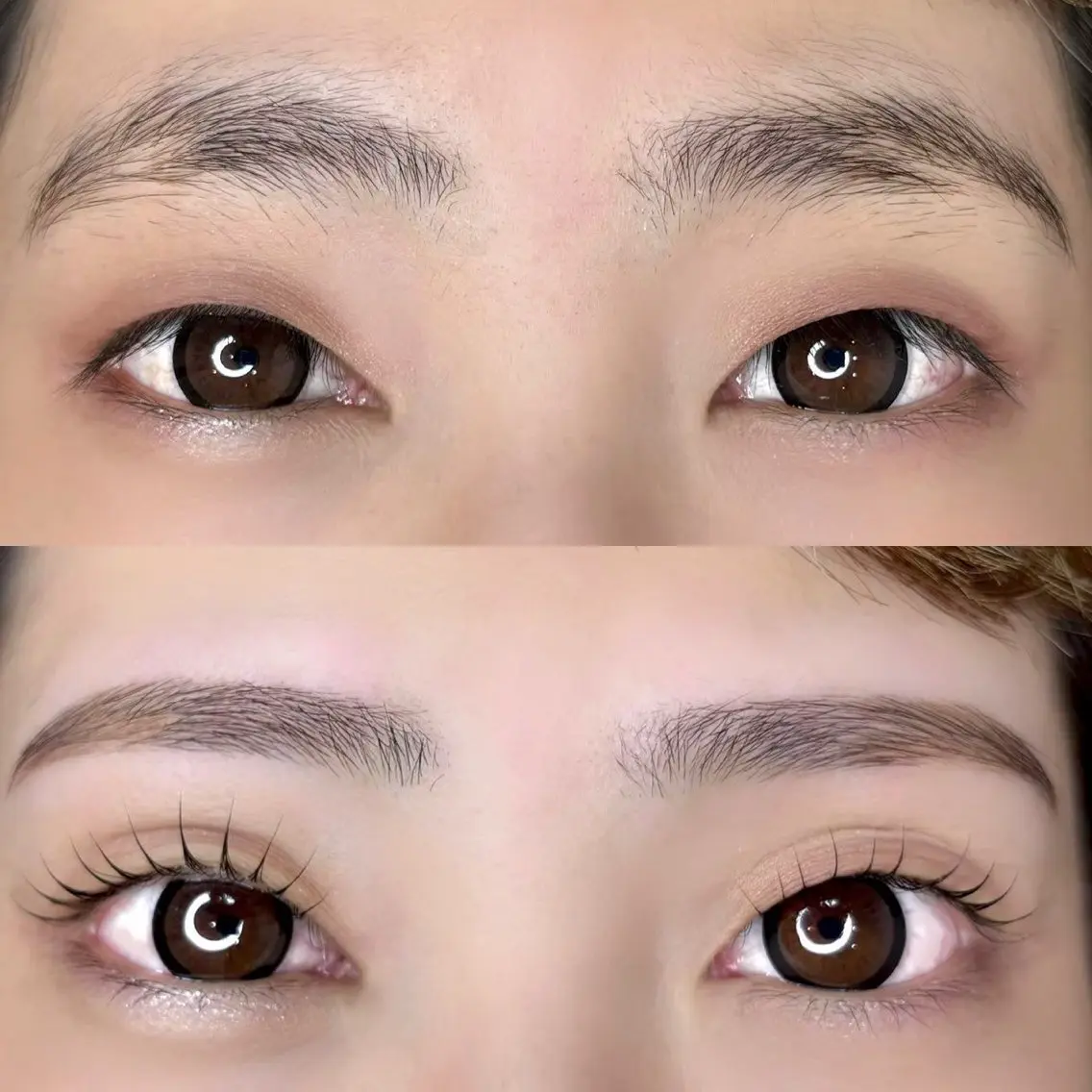 アイブロウスタイリング(眉毛Wax)+まつ毛パーマの写真